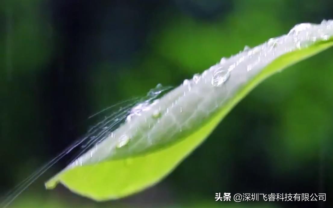 飞睿智能雷达模组，雨水树叶算法技术，助力“技防”代替“人防”